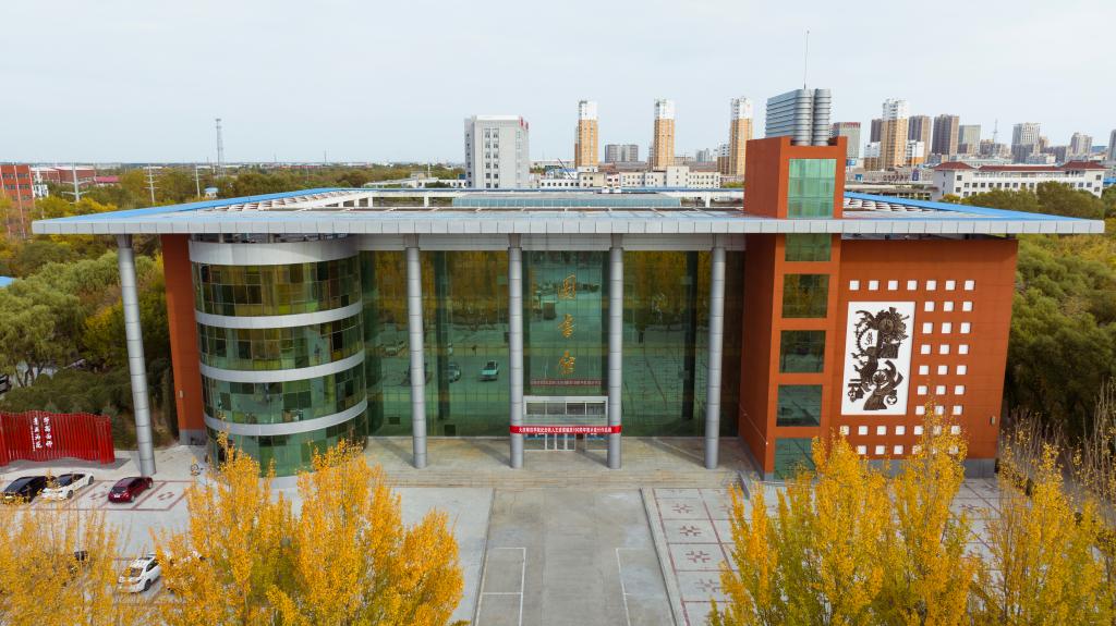 中文字幕日韩精品有码视频