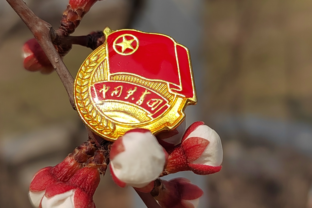 中文字幕日韩精品有码视频