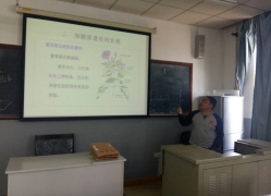 中文字幕日韩精品有码视频