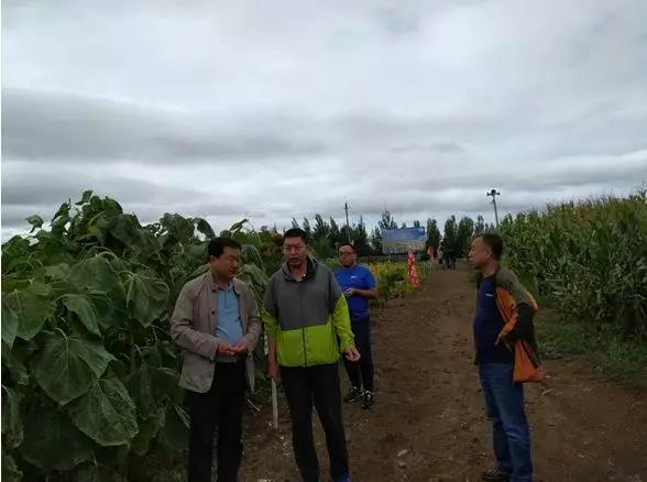 中文字幕日韩精品有码视频