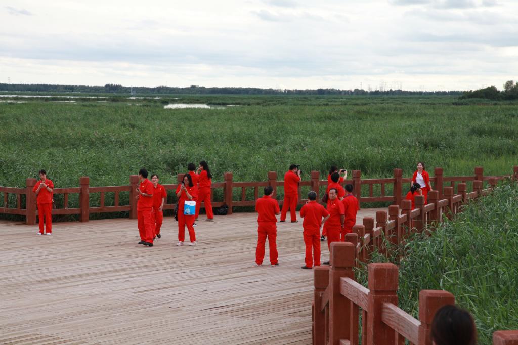 中文字幕日韩精品有码视频